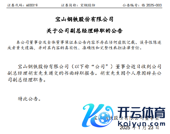 开头：公司公告