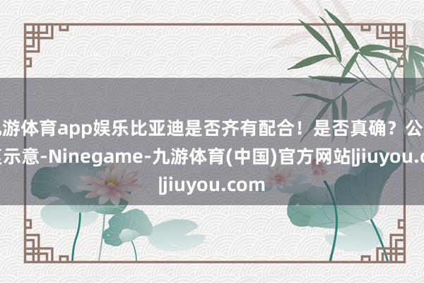 九游体育app娱乐比亚迪是否齐有配合！是否真确？公司恢复示意-Ninegame-九游体育(中国)官方网站|jiuyou.com