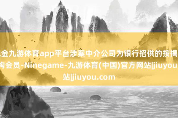 现金九游体育app平台涉案中介公司为银行招供的按揭中介机构会员-Ninegame-九游体育(中国)官方网站|jiuyou.com