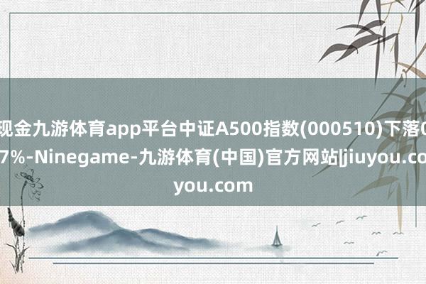 现金九游体育app平台中证A500指数(000510)下落0.27%-Ninegame-九游体育(中国)官方网站|jiuyou.com