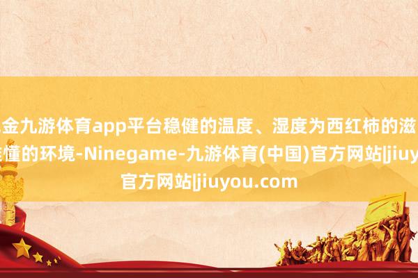 现金九游体育app平台稳健的温度、湿度为西红柿的滋长提供了难懂的环境-Ninegame-九游体育(中国)官方网站|jiuyou.com