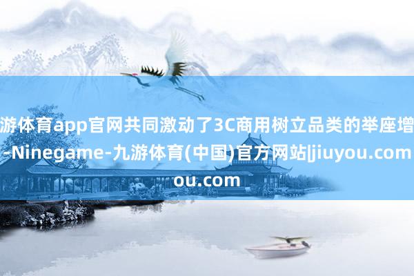 九游体育app官网共同激动了3C商用树立品类的举座增长-Ninegame-九游体育(中国)官方网站|jiuyou.com