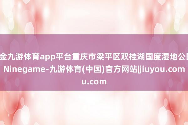 现金九游体育app平台重庆市梁平区双桂湖国度湿地公园-Ninegame-九游体育(中国)官方网站|jiuyou.com
