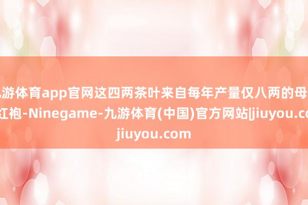 九游体育app官网这四两茶叶来自每年产量仅八两的母树大红袍-Ninegame-九游体育(中国)官方网站|jiuyou.com
